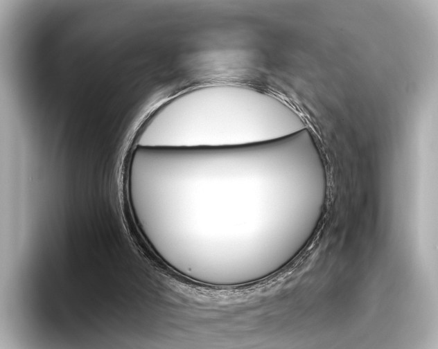 X0000094330006200711021139