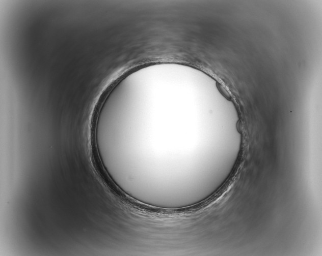 X0000094330008200711021139