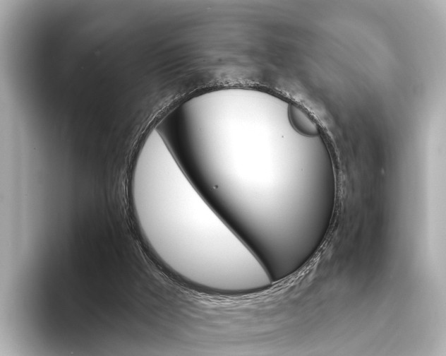 X0000094330009200711021139