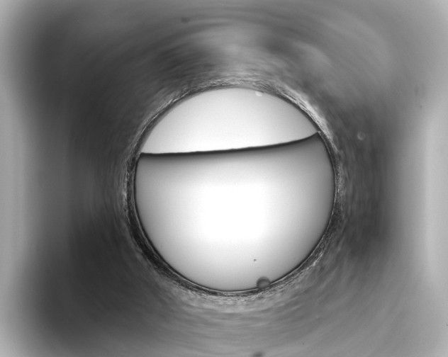 X0000094330010200711021139