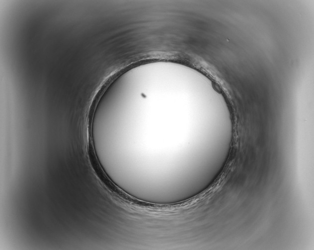 X0000094330011200711021139