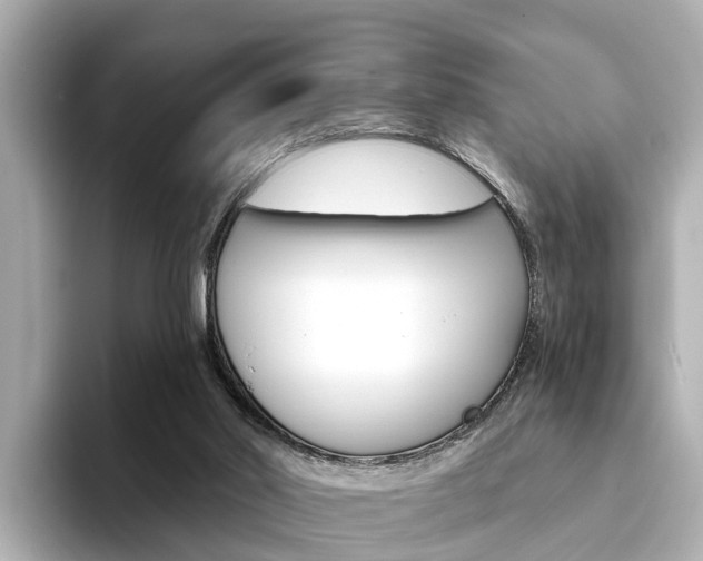 X0000094330014200711021139