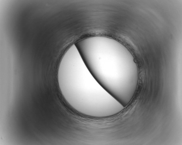 X0000094330024200711021139