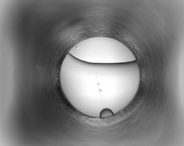 X0000094330030200711021139