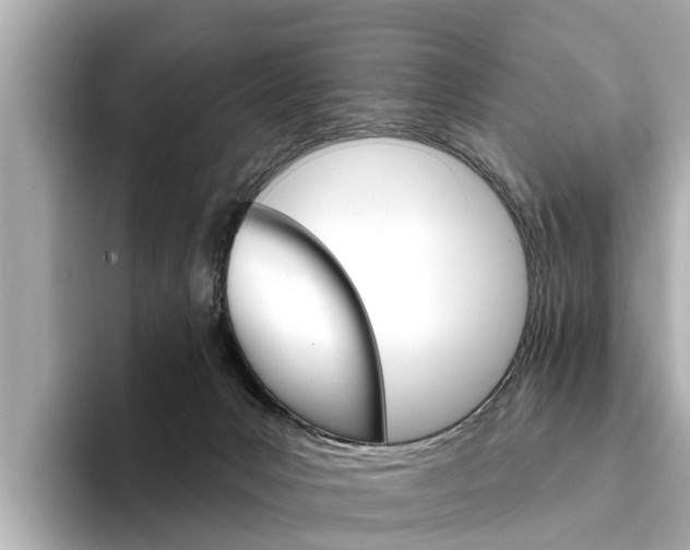 X0000094330031200711021139
