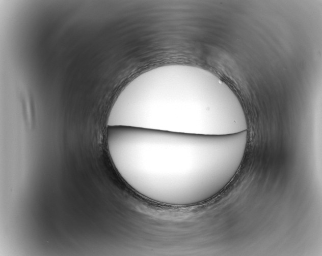 X0000094330032200711021139