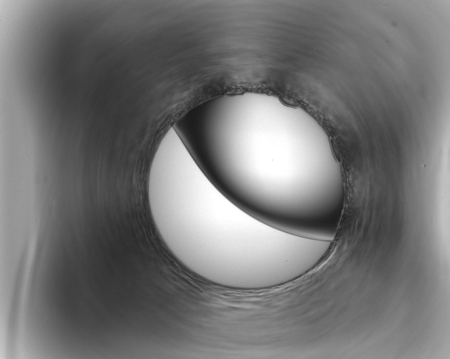 X0000094330033200711021139