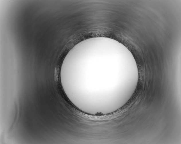 X0000094330038200711021139