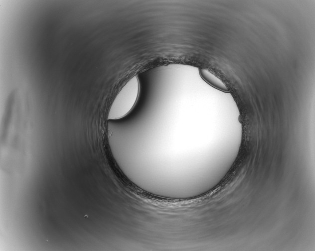 X0000094330040200711021139