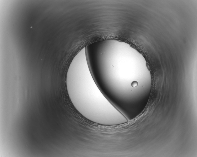 X0000094330041200711021139