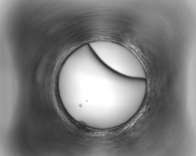 X0000094330049200711021138