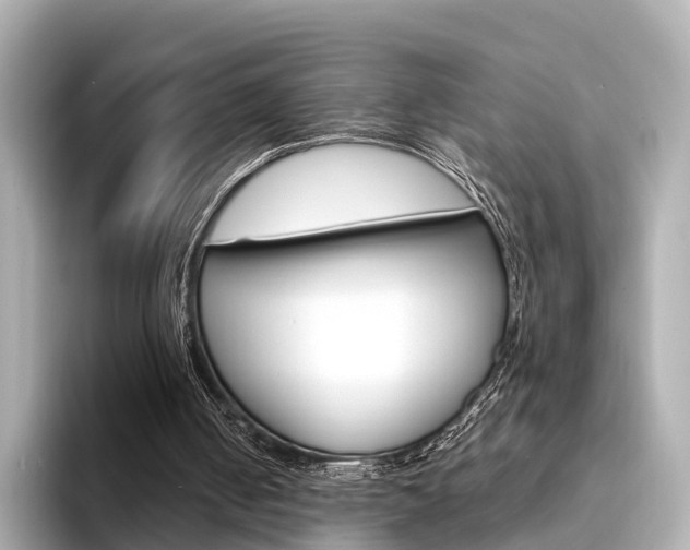 X0000094330050200711021138