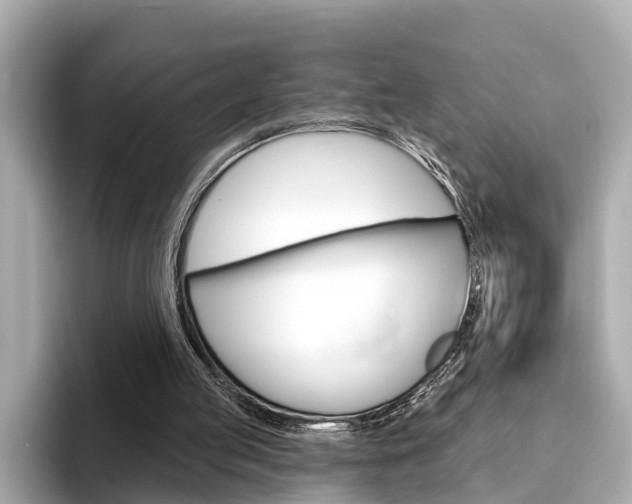 X0000094330053200711021138