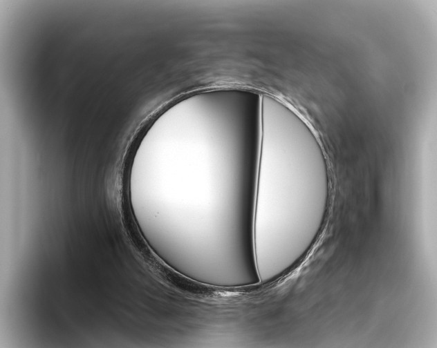 X0000094330055200711021138