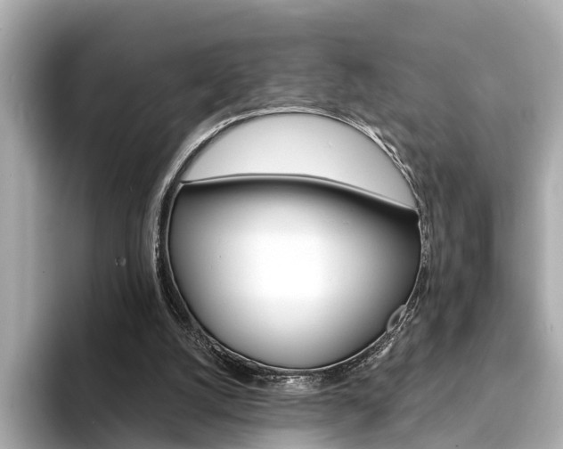 X0000094330056200711021138