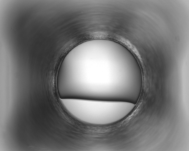 X0000094330057200711021138