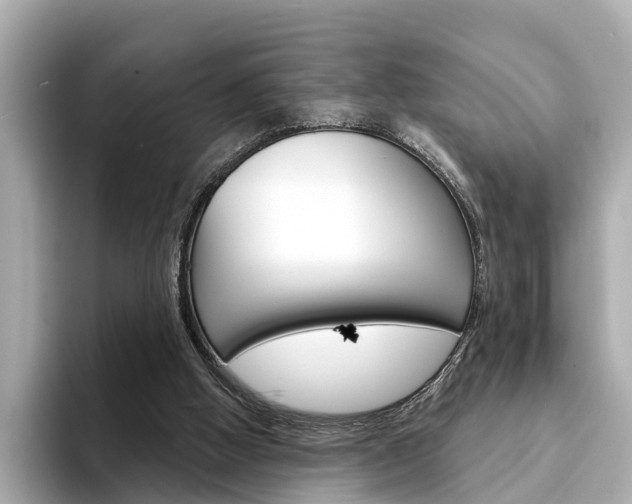 X0000094330058200711021138