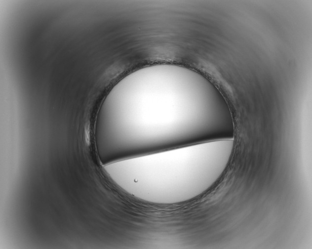 X0000094330068200711021138