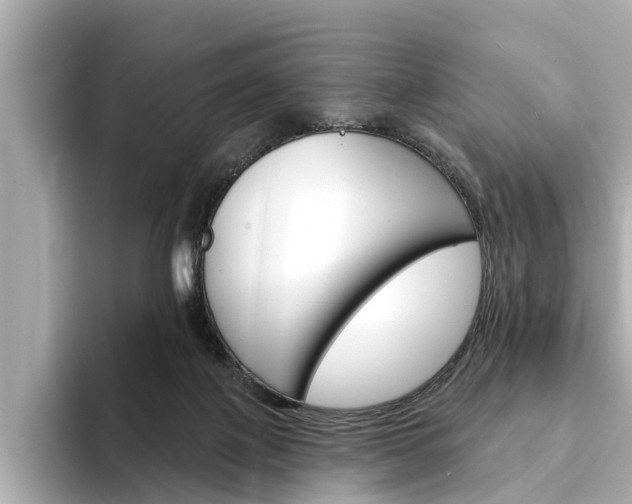 X0000094330075200711021138