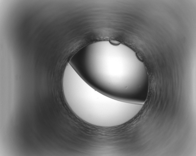 X0000094330076200711021139