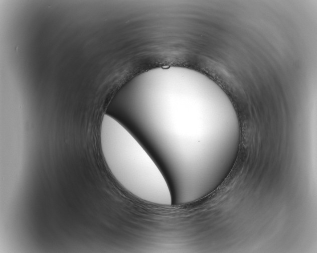 X0000094330077200711021139