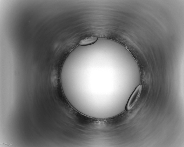 X0000094330080200711021139