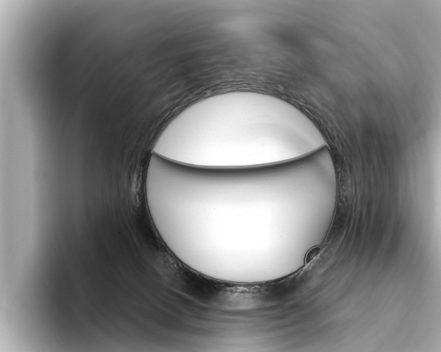 X0000094330082200711021139