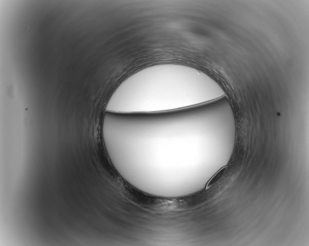 X0000094330083200711021139