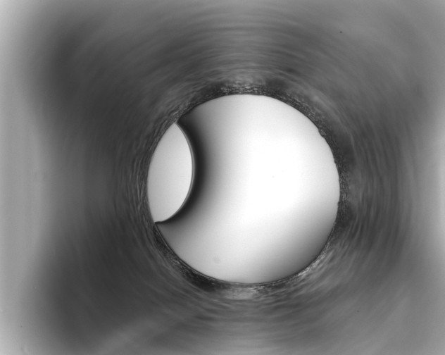 X0000094330086200711021139