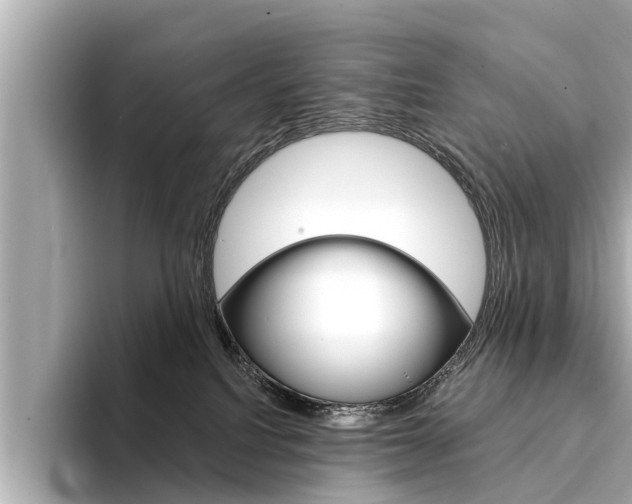 X0000094330088200711021139