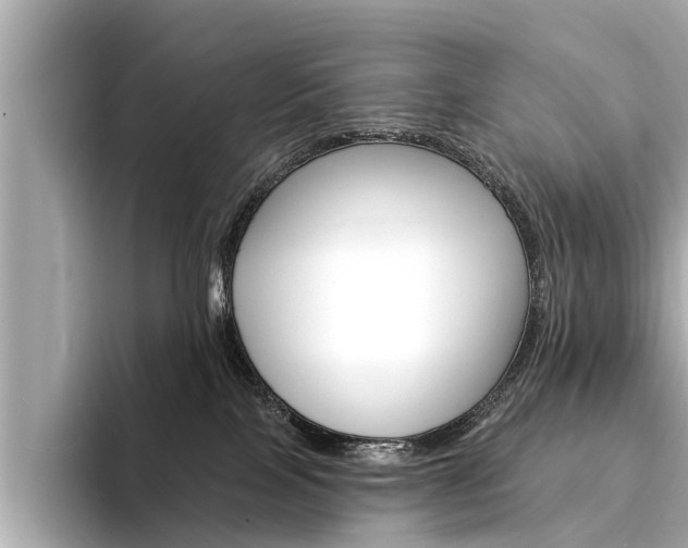 X0000094330089200711021139