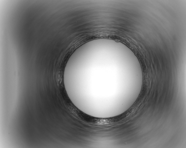 X0000094330091200711021139