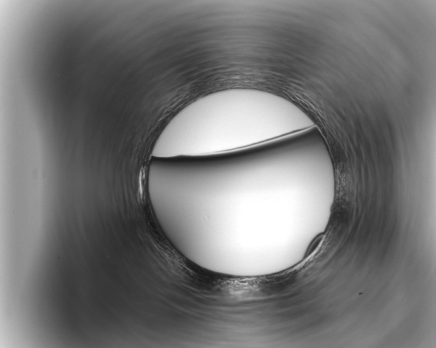 X0000094330094200711021139