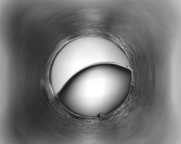 X0000094330099200711021138