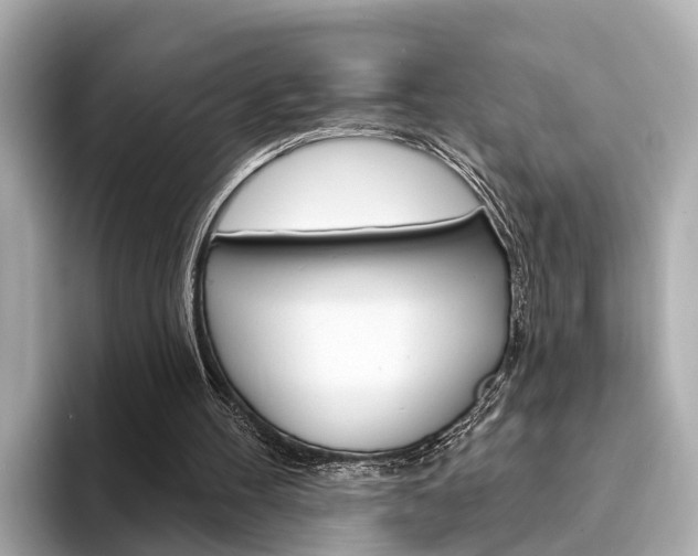 X0000094330100200711021138