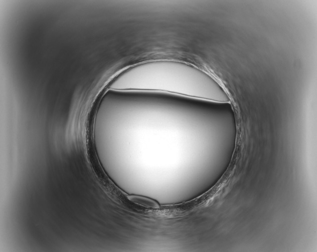 X0000094330103200711021138