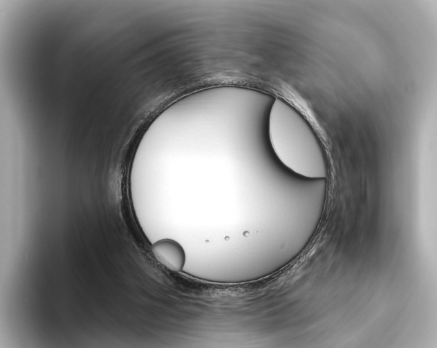 X0000094330106200711021138