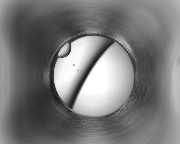 X0000094330108200711021138