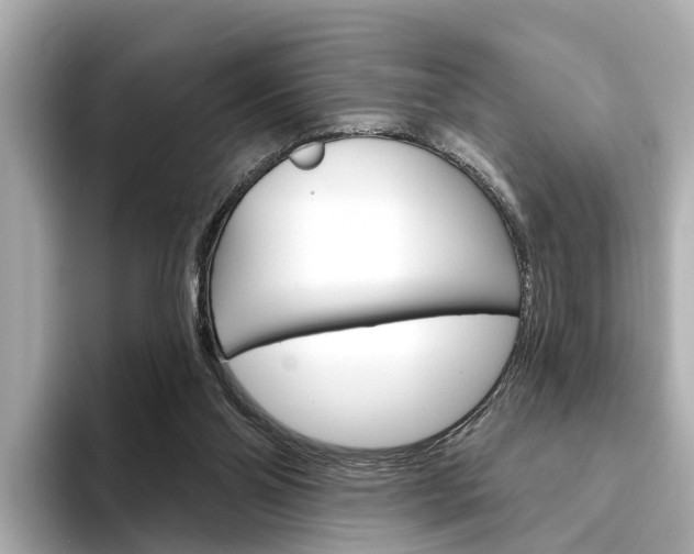 X0000094330110200711021138