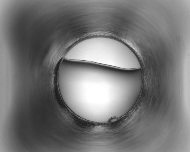 X0000094330111200711021138