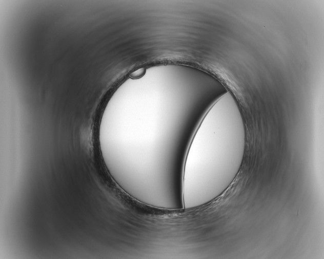 X0000094330112200711021138