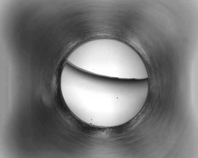 X0000094330116200711021138
