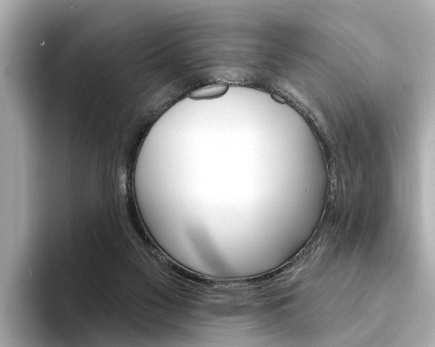 X0000094330117200711021138