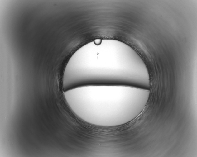 X0000094330120200711021138