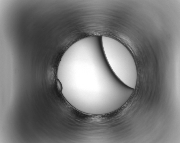 X0000094330121200711021138