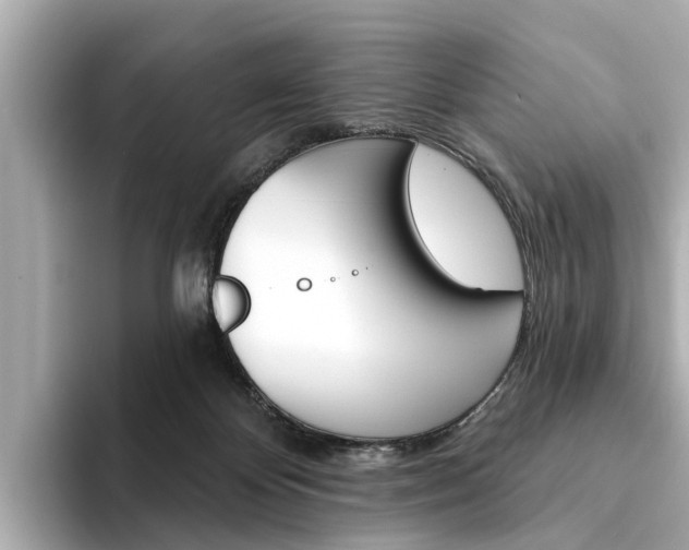X0000094330124200711021138