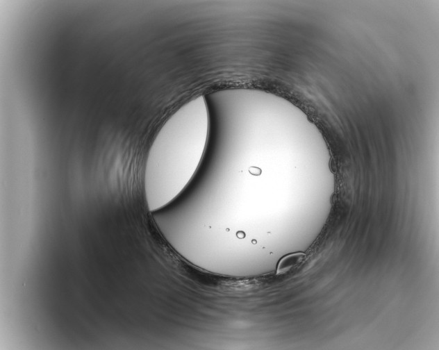 X0000094330131200711021138