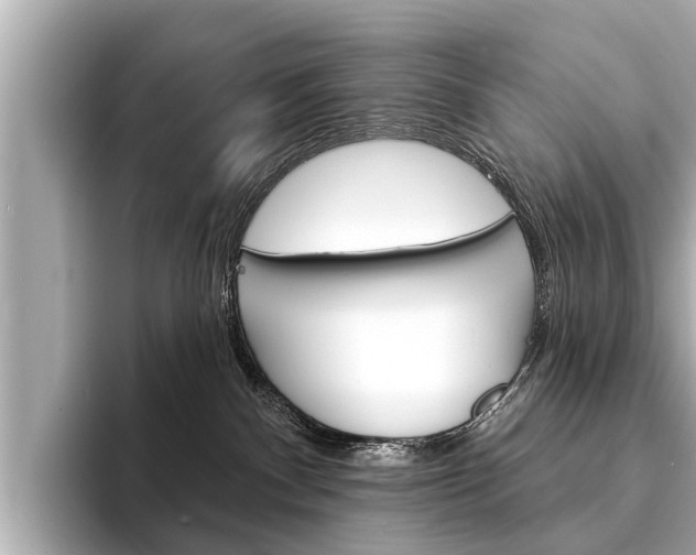 X0000094330140200711021138