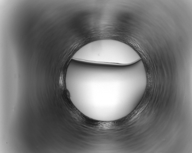 X0000094330143200711021138