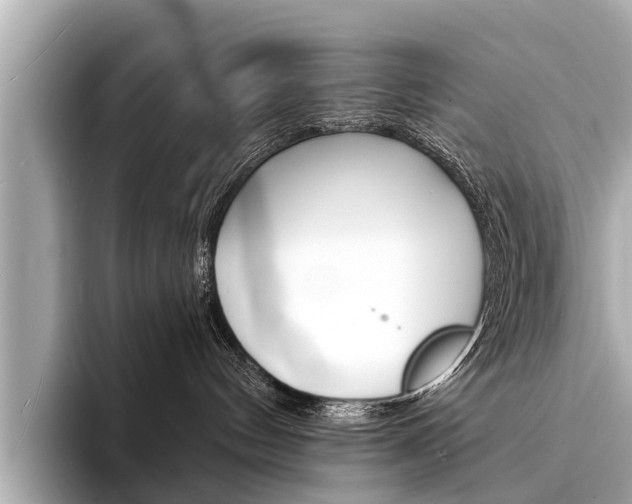 X0000094330144200711021138